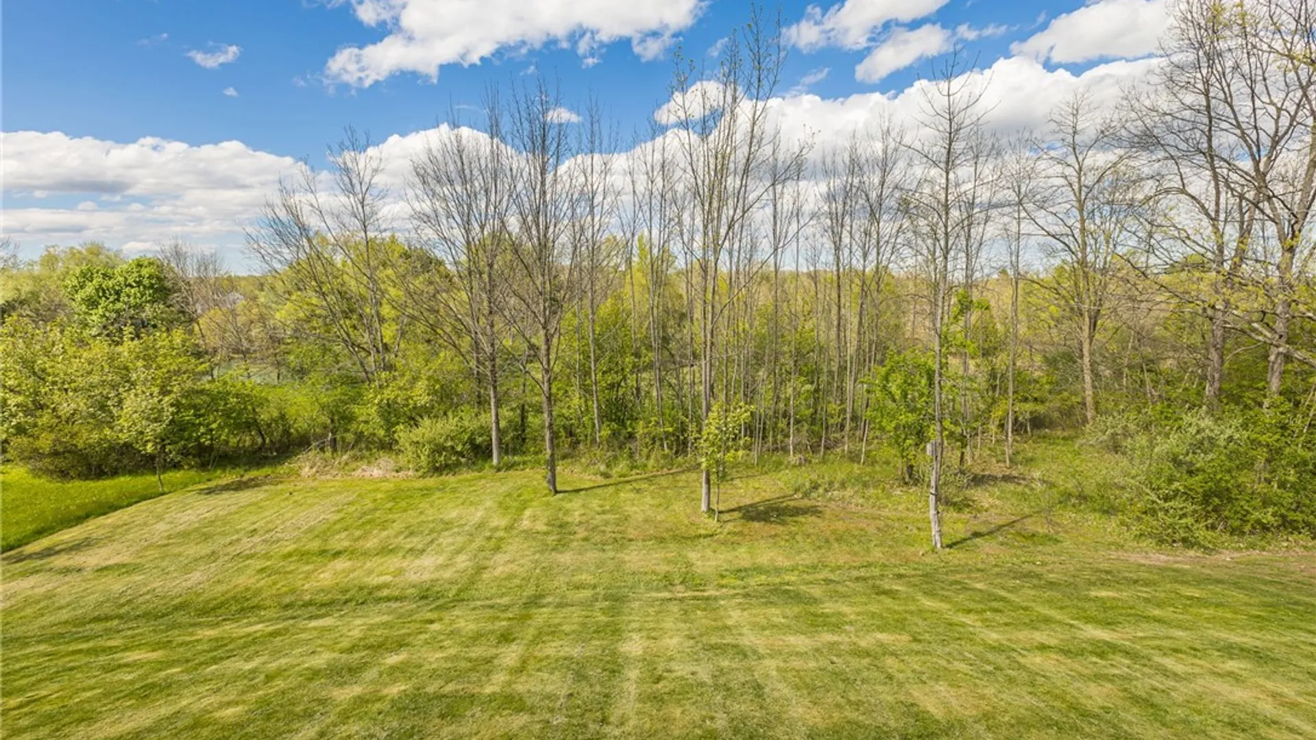 Property at 6594 Bradhurst Street, Victor, NY 14564 49