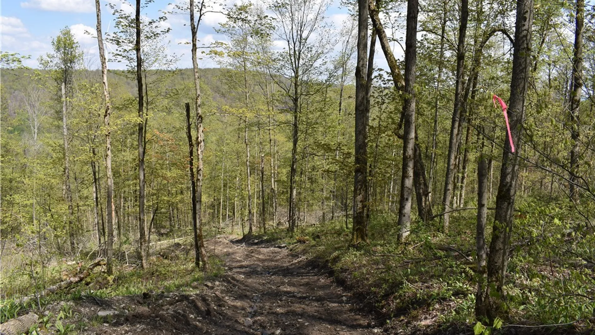Property at Farrington Hollow Road, Cherry Creek, NY 14723 26