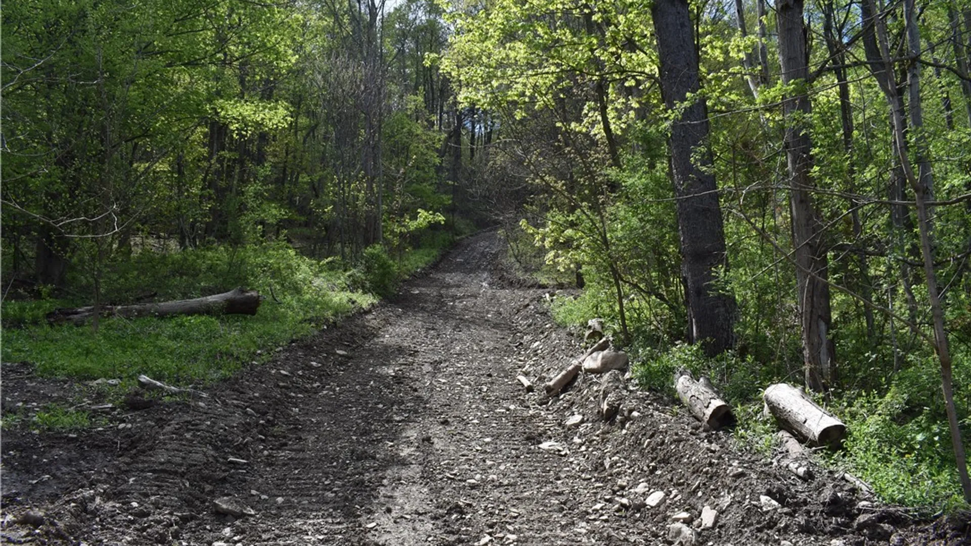 Property at Farrington Hollow Road, Cherry Creek, NY 14723 4