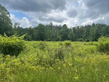 Property at 0 HORNBROOK Road, Danby, NY 14850
