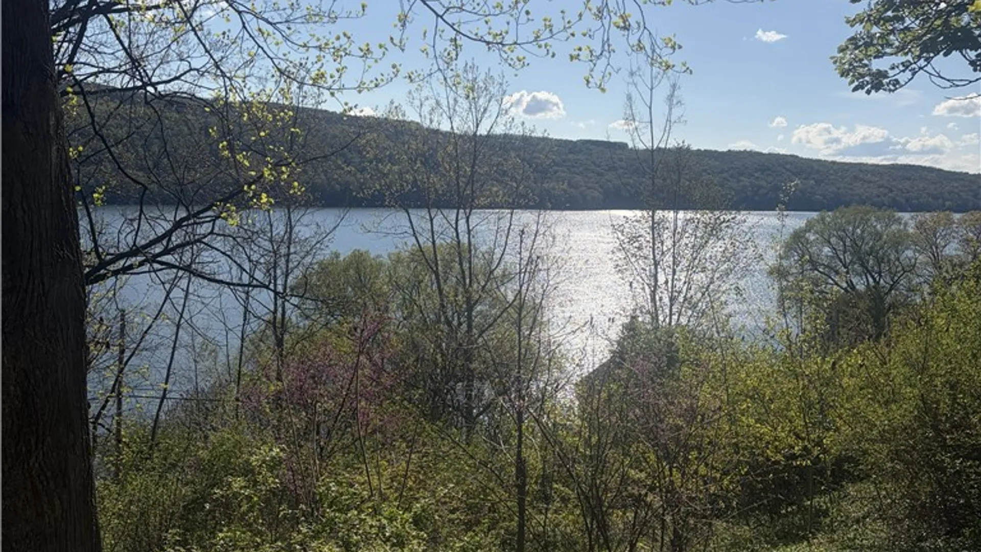 Property at 1848 Otisco Valley Road, Otisco, NY 13110 29