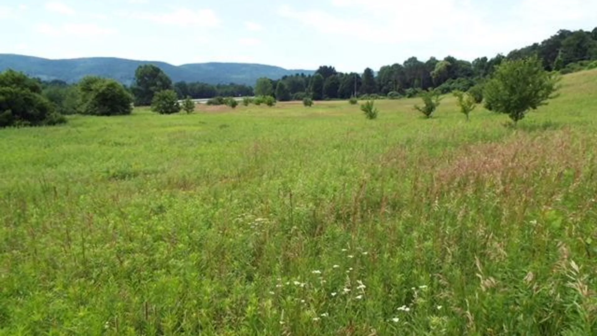 Property at State Highway 7, Oneonta, NY 13820 10
