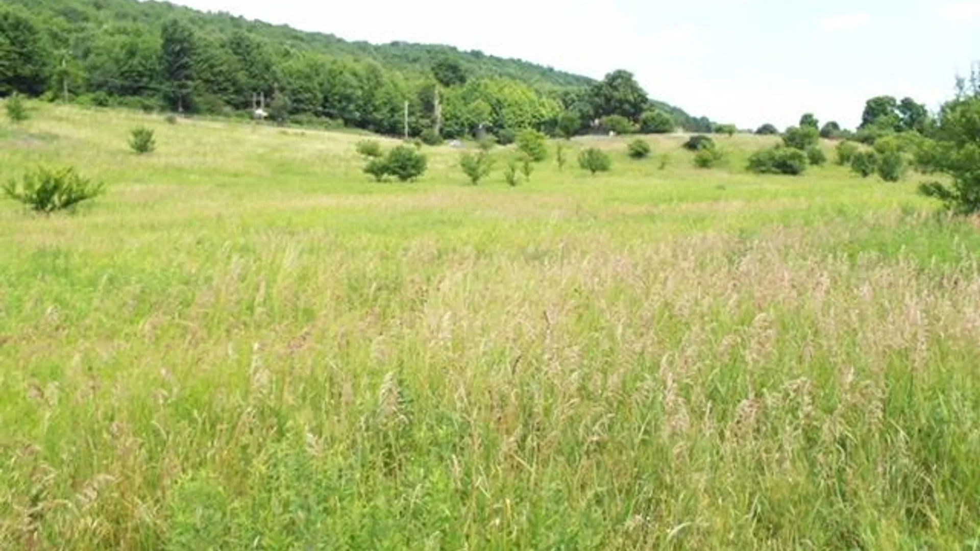 Property at State Highway 7, Oneonta, NY 13820 11