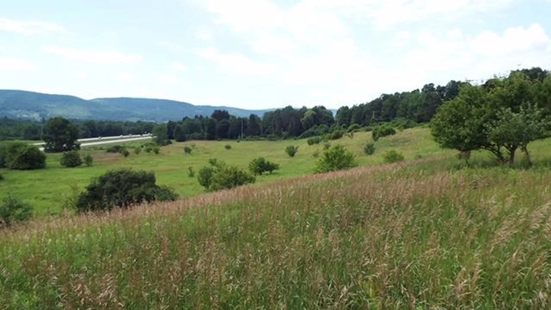 Property at State Highway 7, Oneonta, NY 13820 12