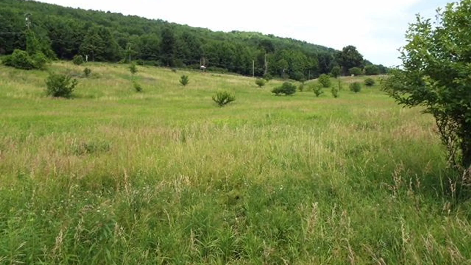 Property at State Highway 7, Oneonta, NY 13820 6