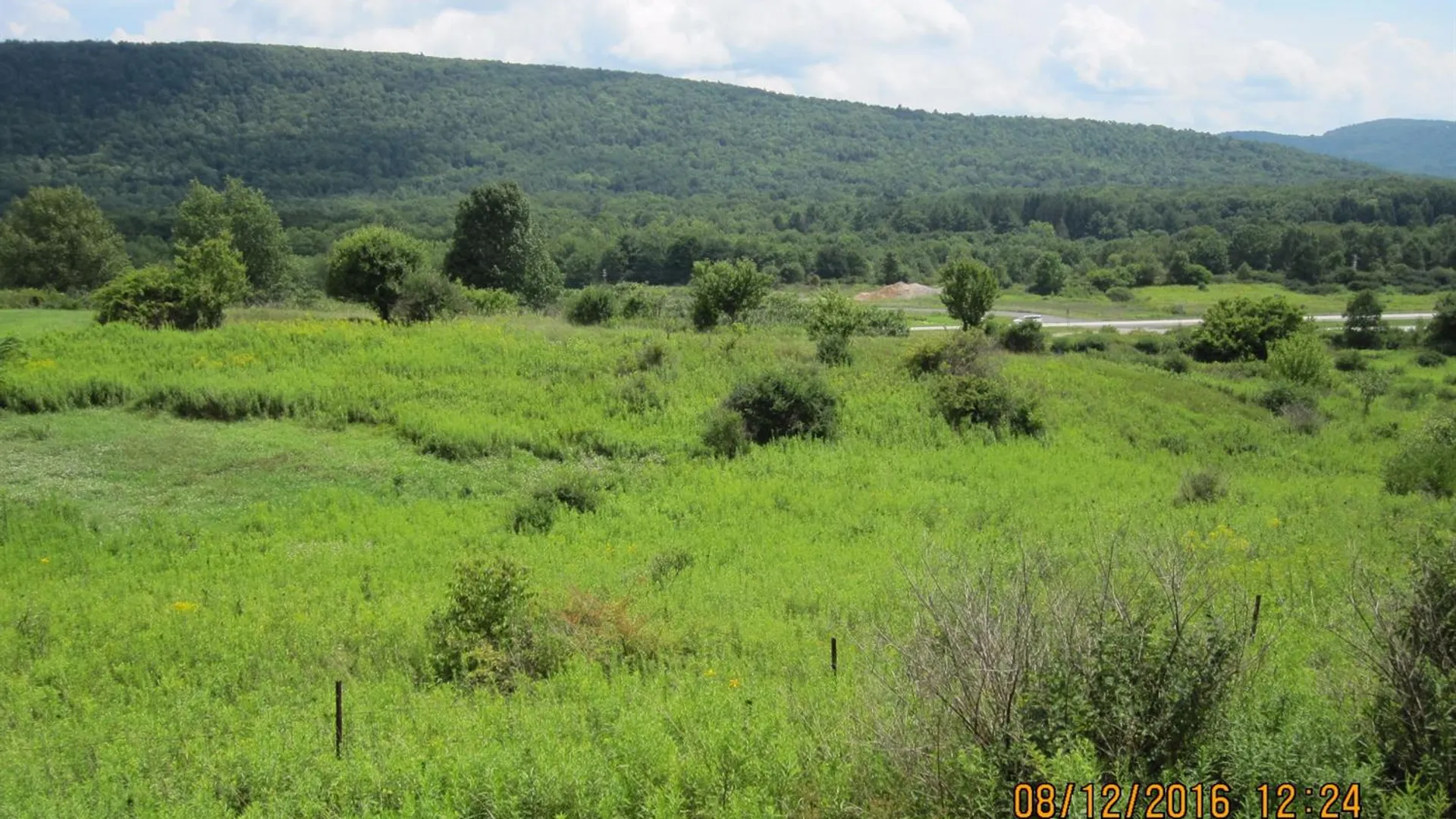 Property at State Highway 7, Oneonta, NY 13820 7
