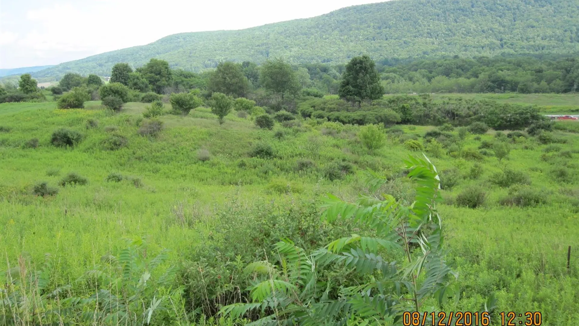 Property at State Highway 7, Oneonta, NY 13820 9