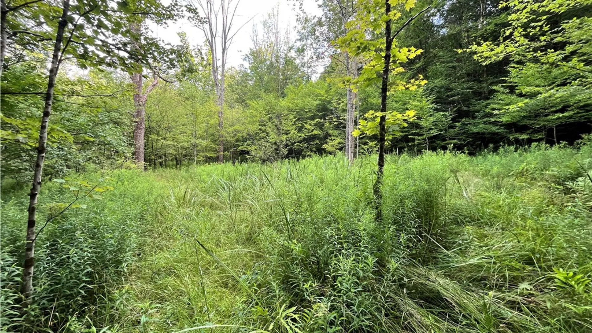 Property at Greenbush Road, Erin, NY 14838 11