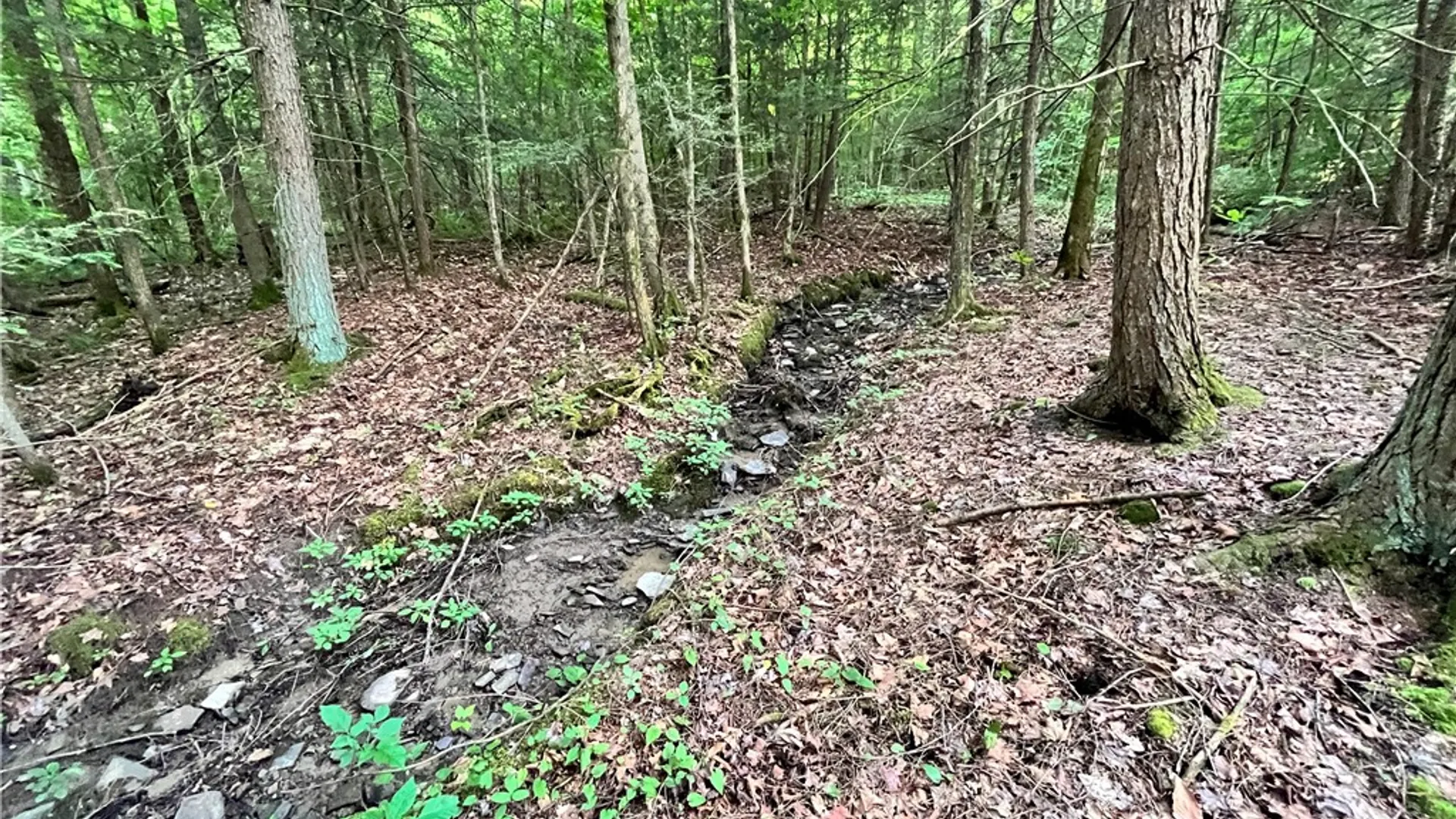 Property at Greenbush Road, Erin, NY 14838 13