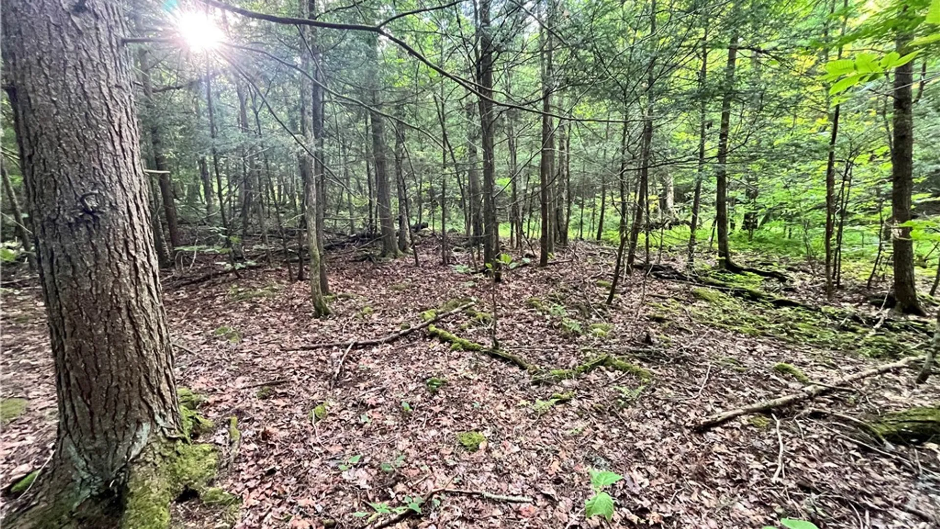 Property at Greenbush Road, Erin, NY 14838 14