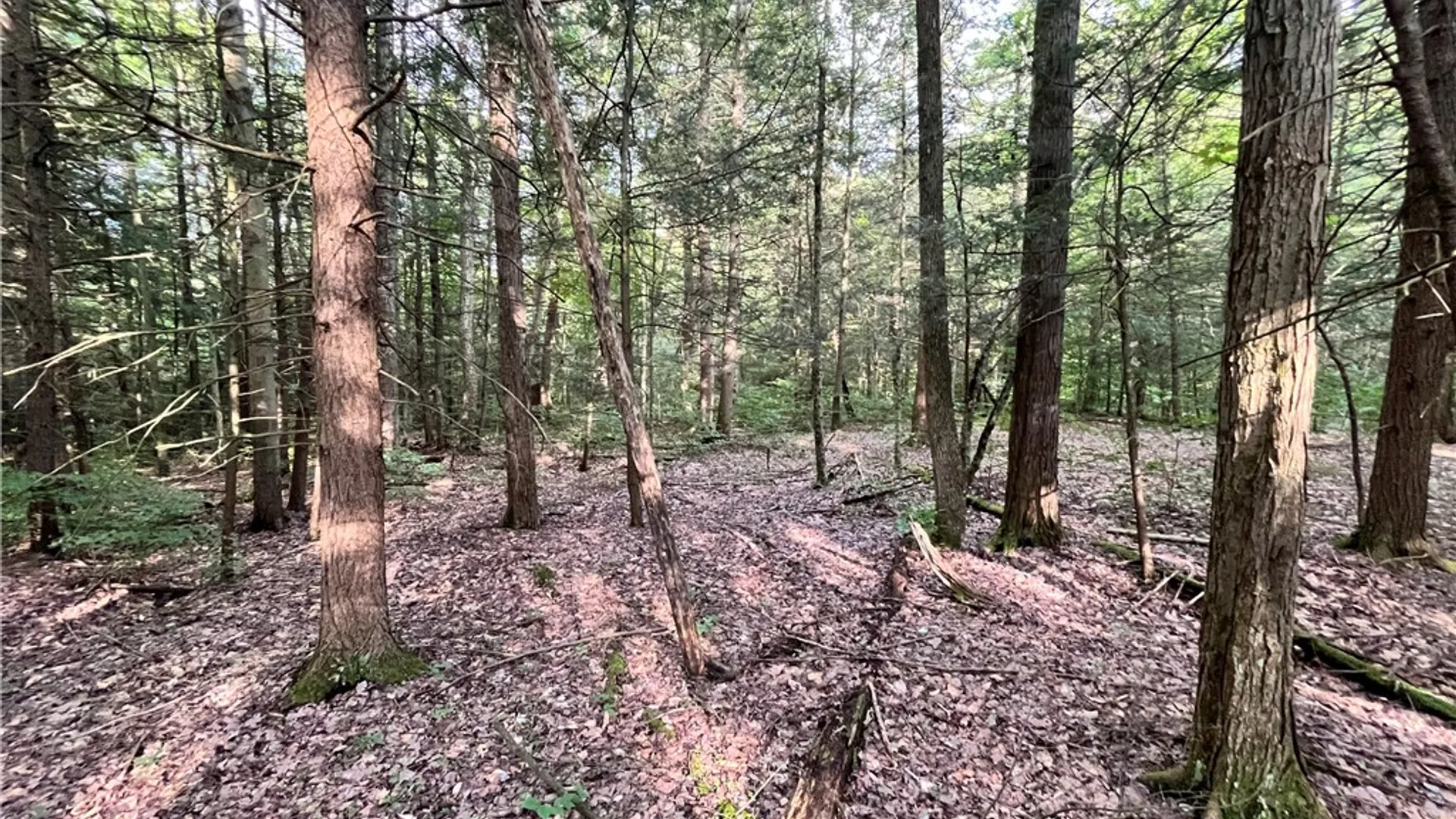 Property at Greenbush Road, Erin, NY 14838 15