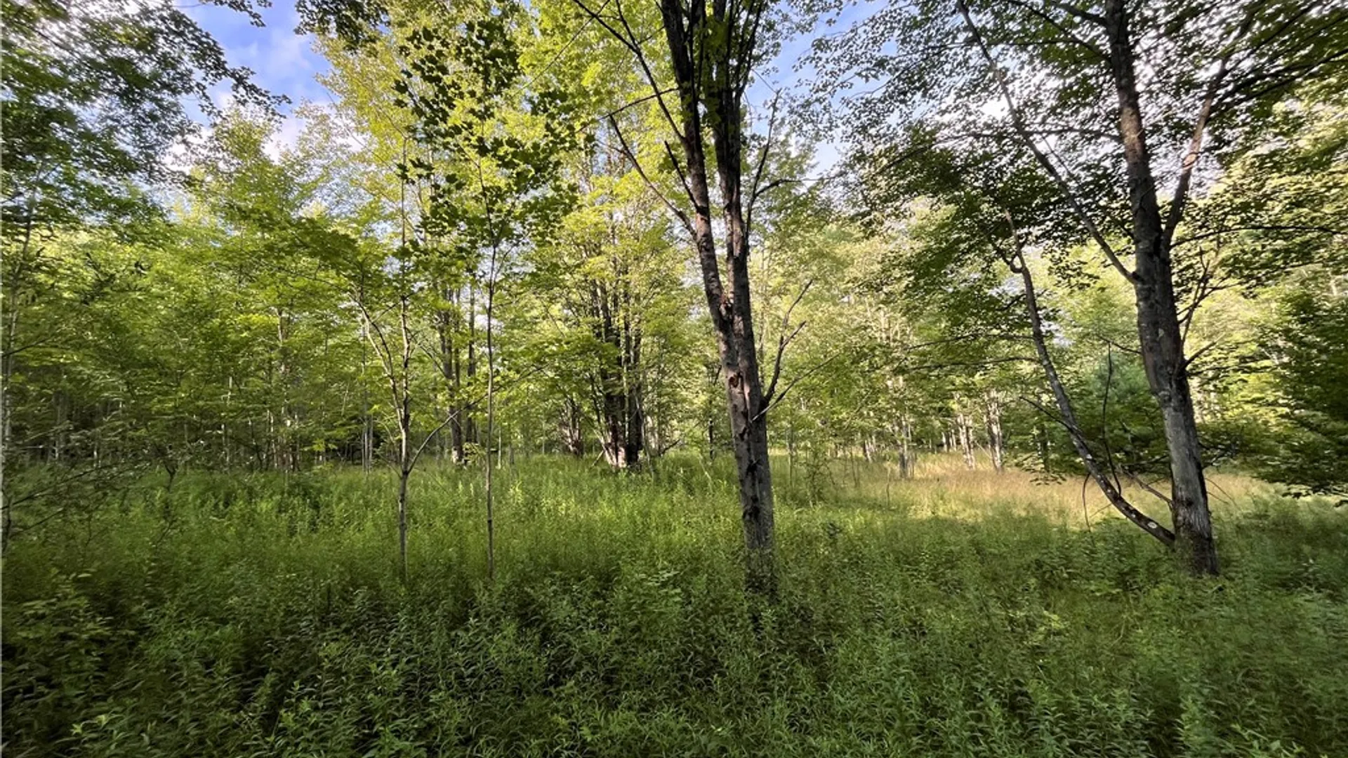 Property at Greenbush Road, Erin, NY 14838 17