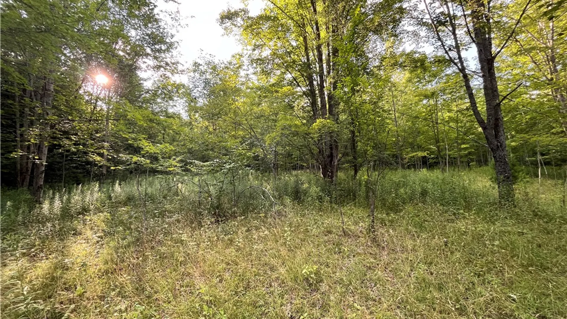 Property at Greenbush Road, Erin, NY 14838 18