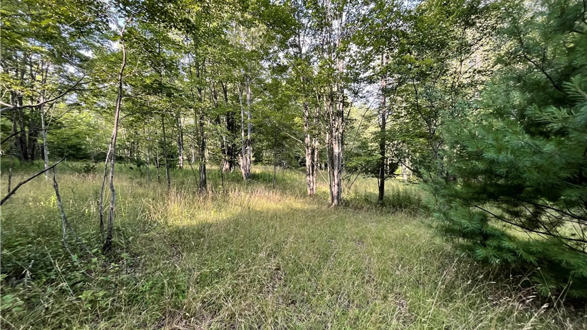 Property at Greenbush Road, Erin, NY 14838 19