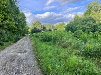 Property at Greenbush Road, Erin, NY 14838