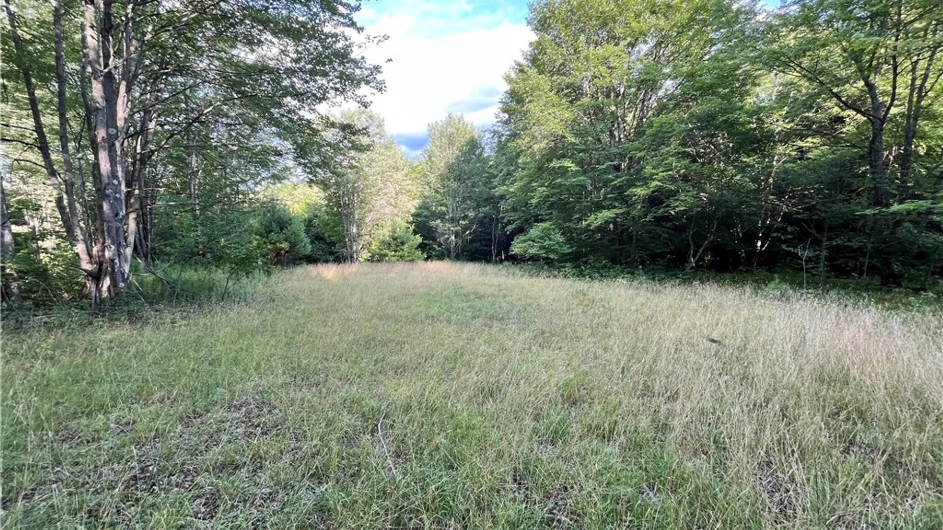 Property at Greenbush Road, Erin, NY 14838 20