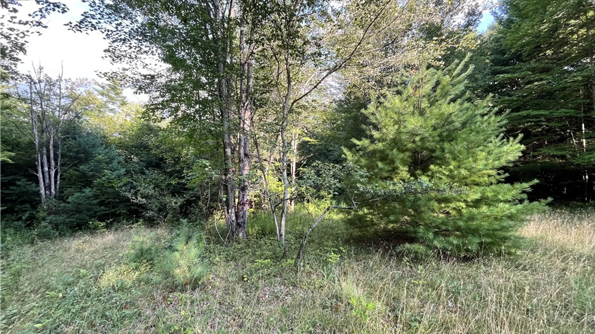 Property at Greenbush Road, Erin, NY 14838 21