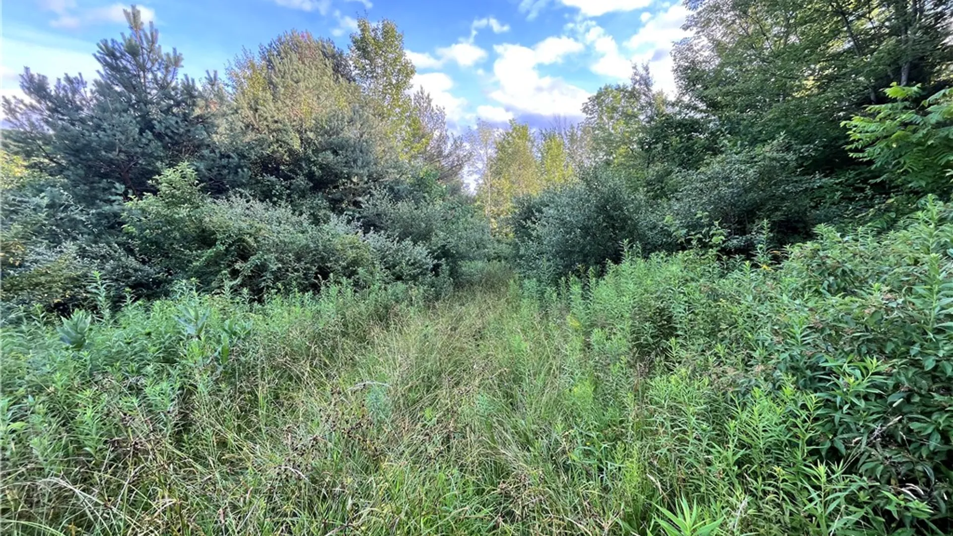 Property at Greenbush Road, Erin, NY 14838 23
