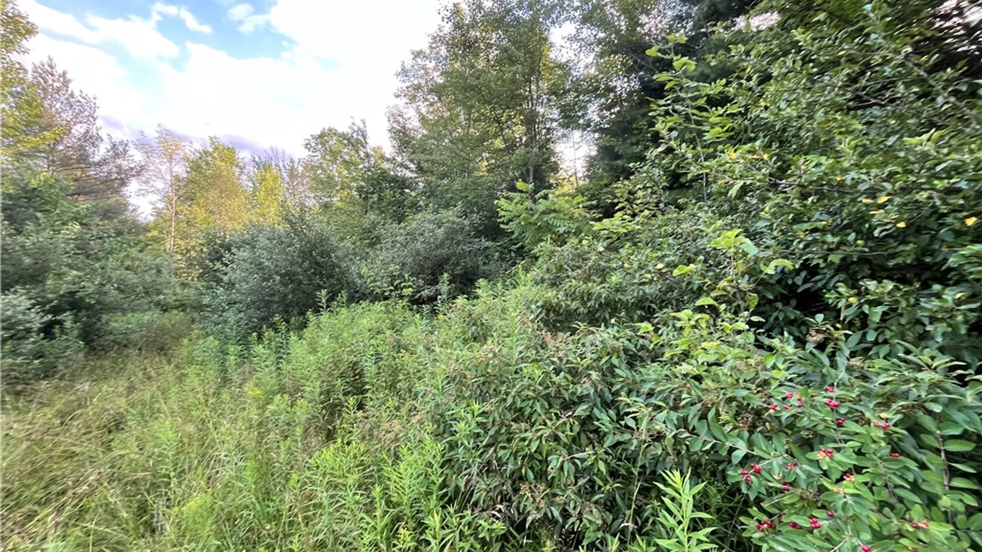 Property at Greenbush Road, Erin, NY 14838 24