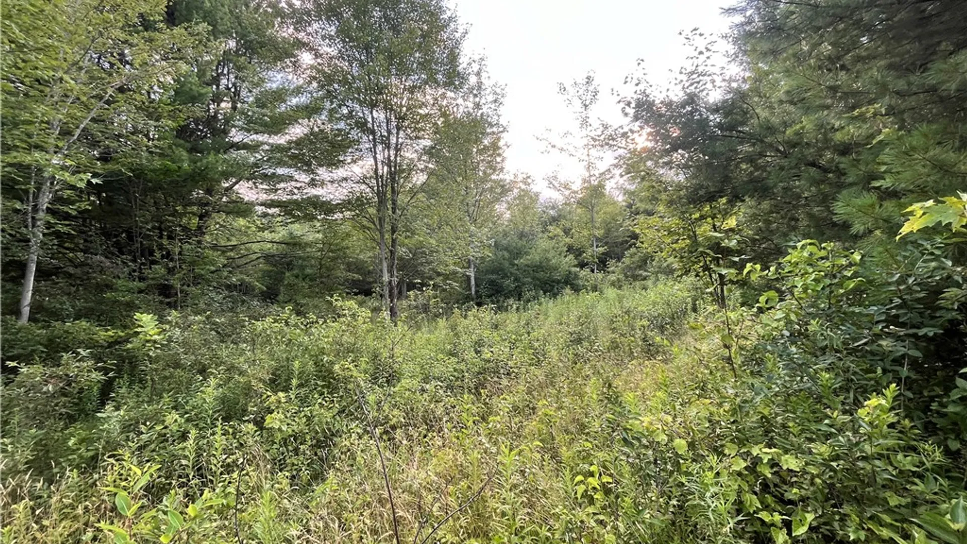 Property at Greenbush Road, Erin, NY 14838 25