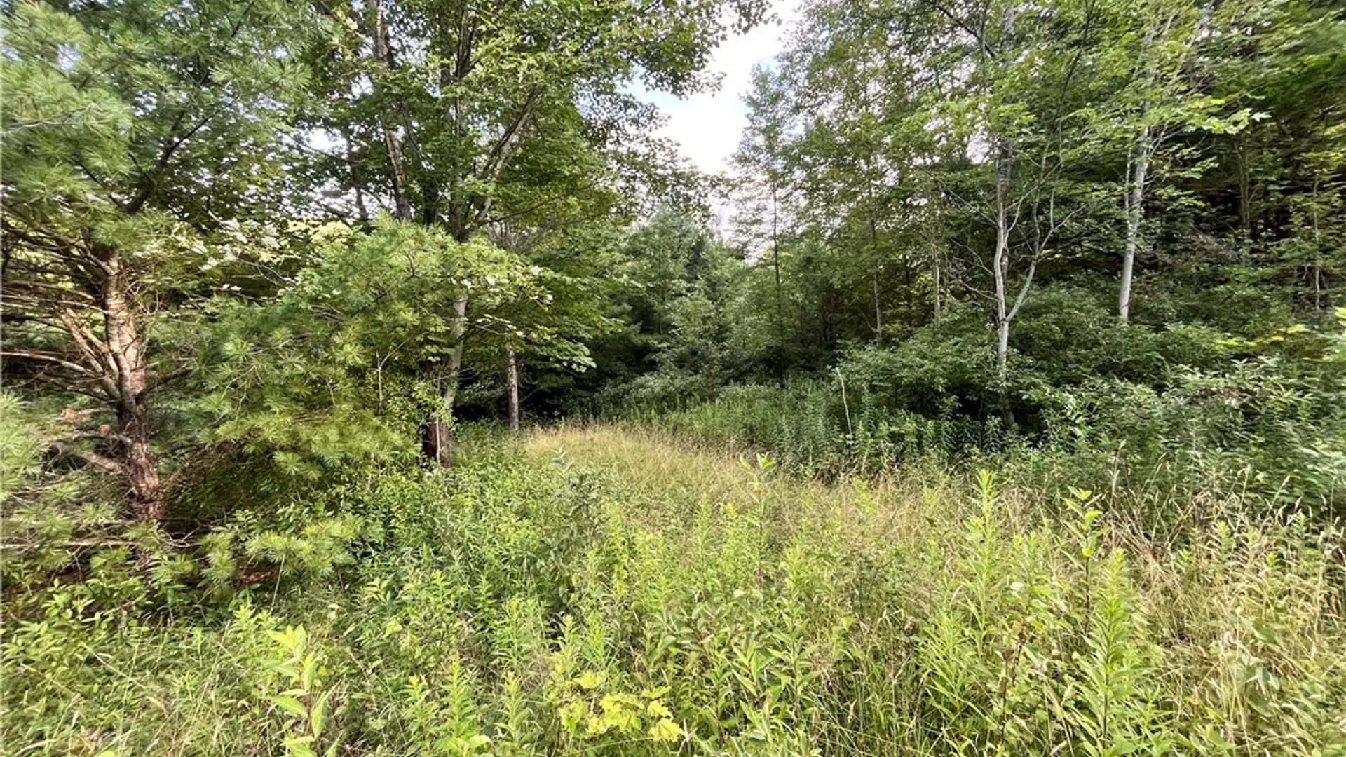 Property at Greenbush Road, Erin, NY 14838 26