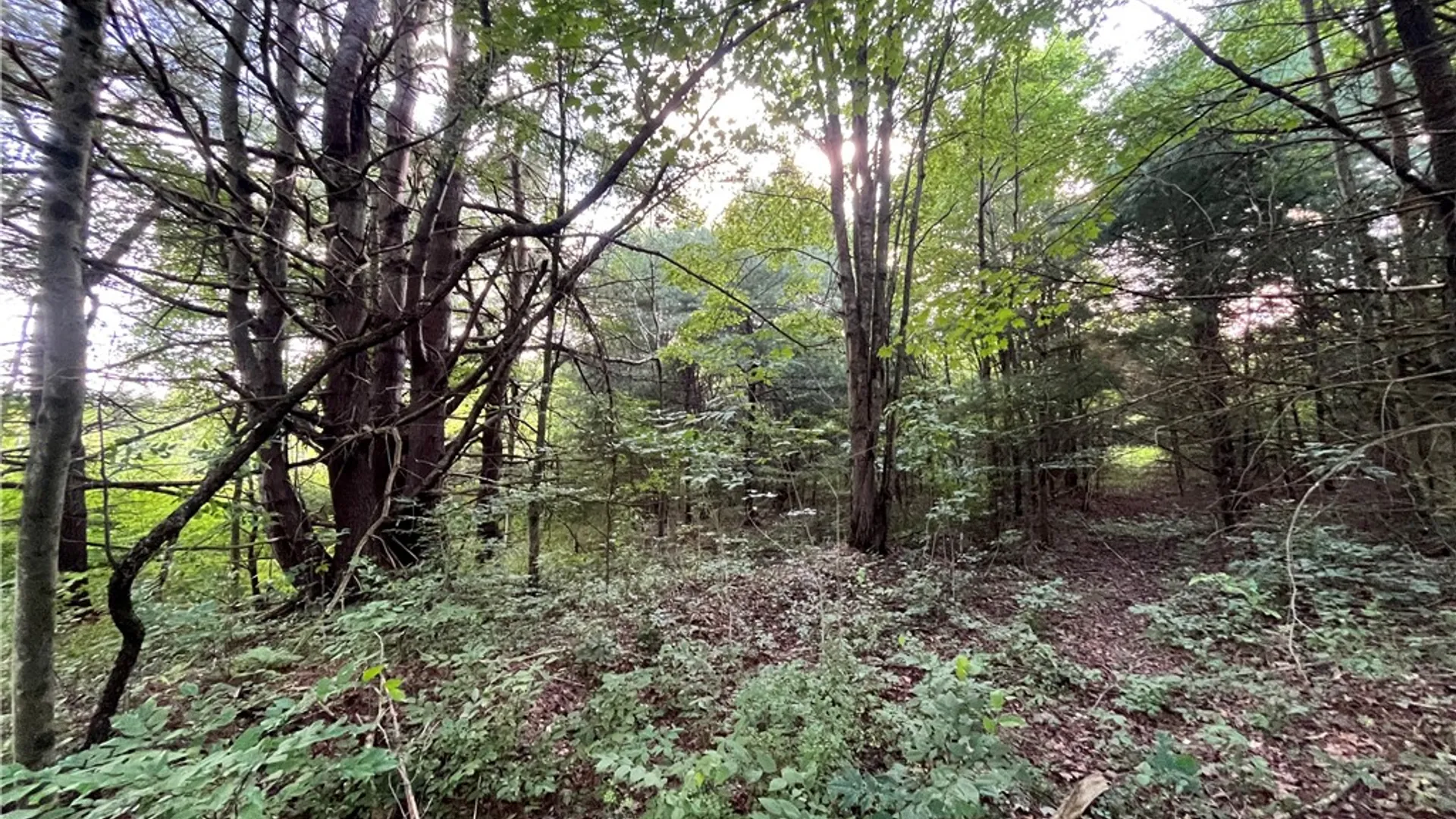 Property at Greenbush Road, Erin, NY 14838 27