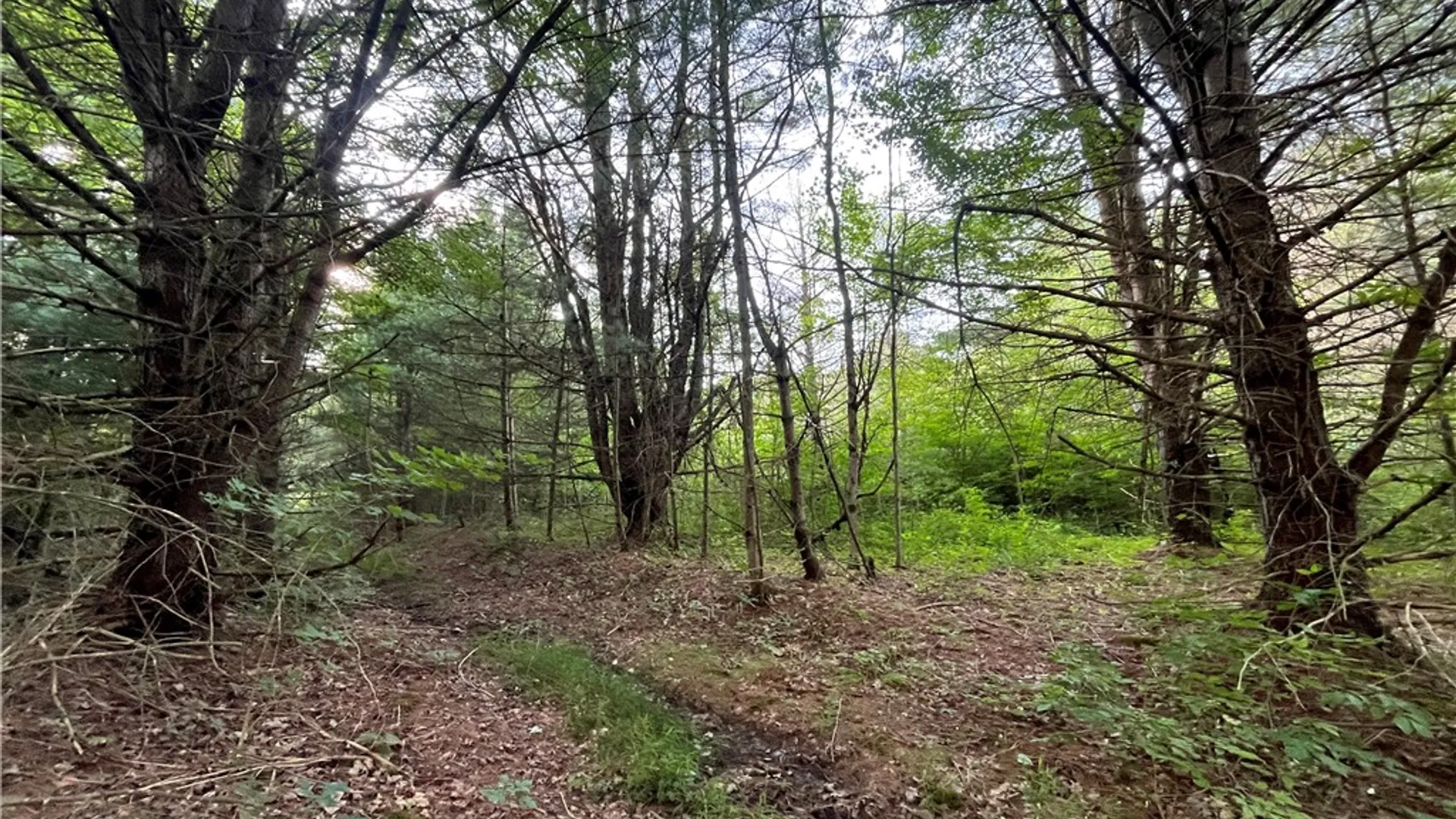 Property at Greenbush Road, Erin, NY 14838 28