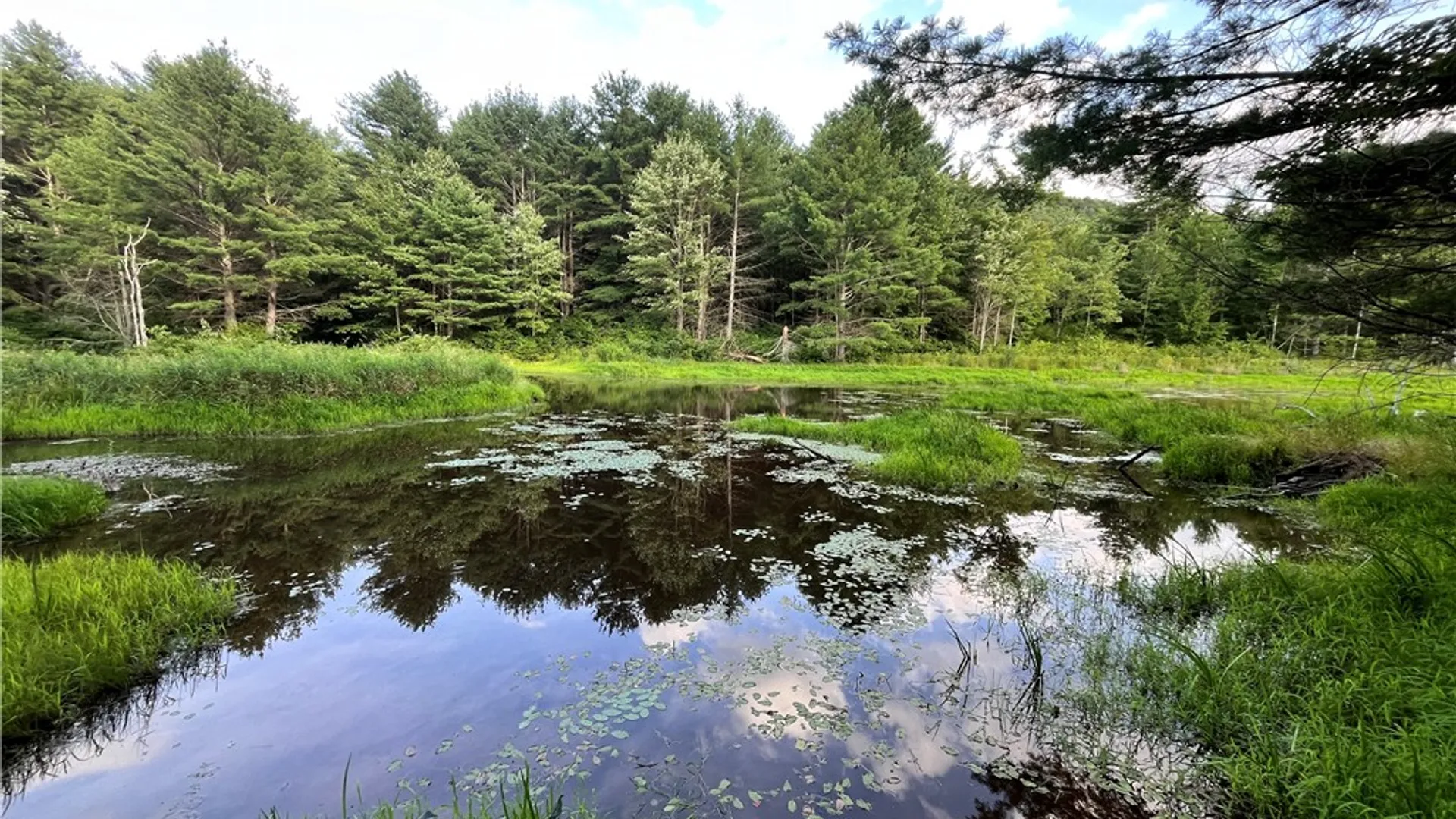 Property at Greenbush Road, Erin, NY 14838 29