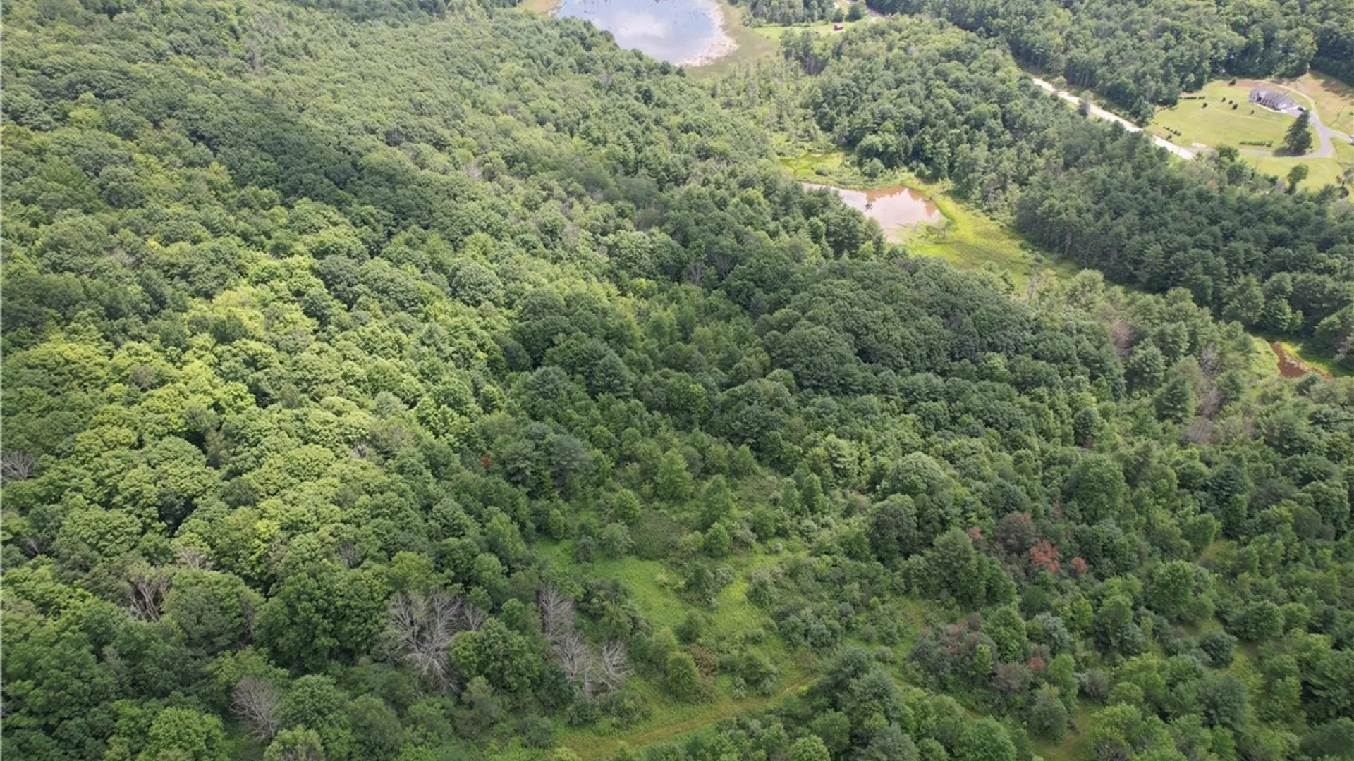 Property at Greenbush Road, Erin, NY 14838 3