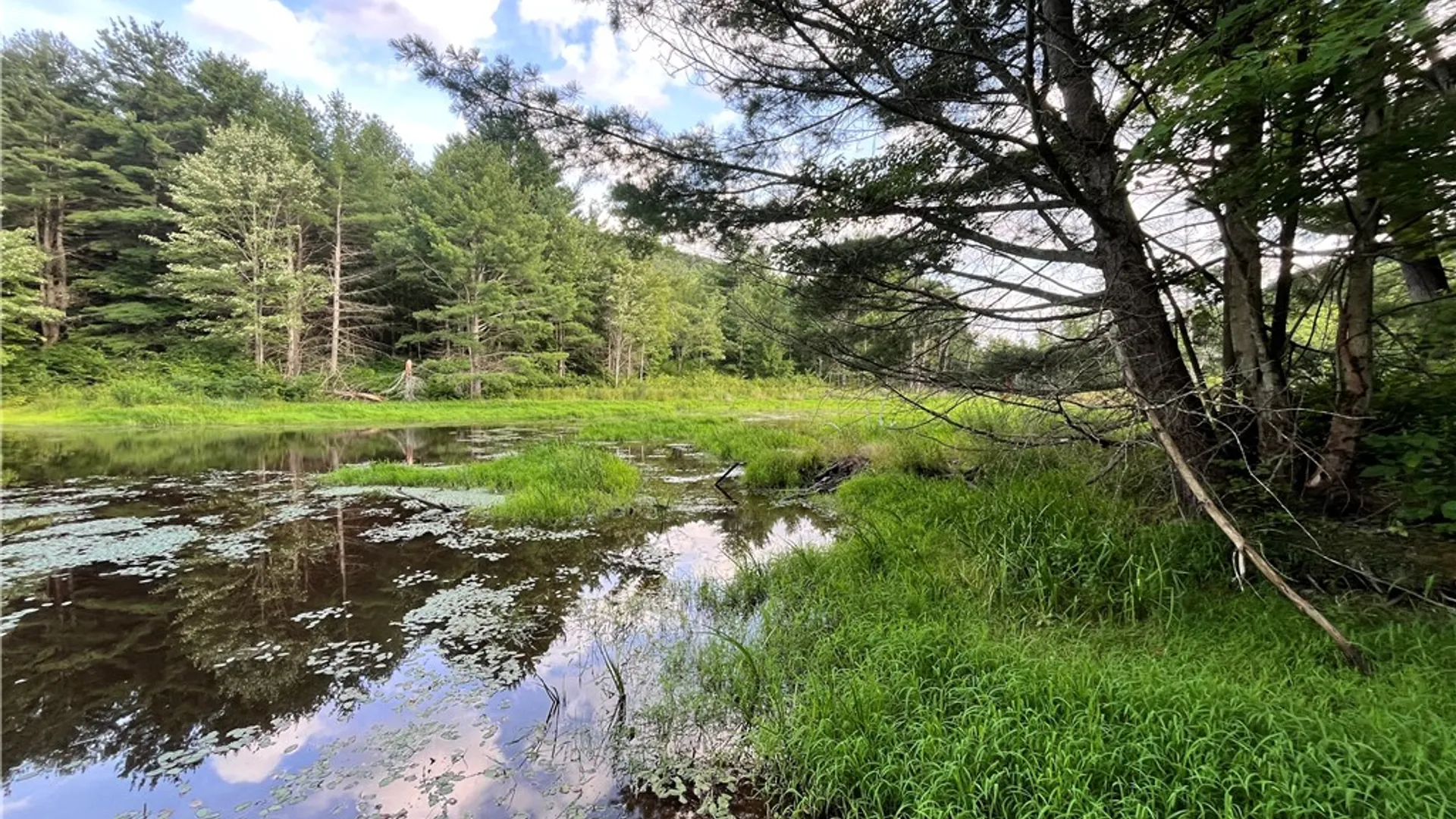 Property at Greenbush Road, Erin, NY 14838 30