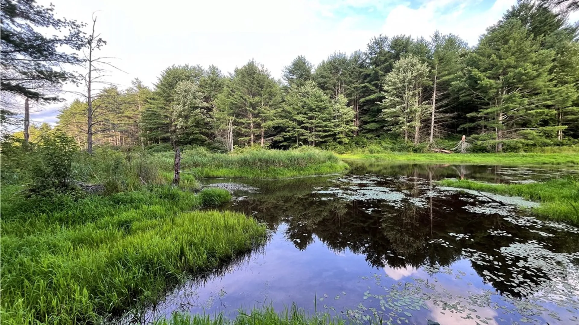 Property at Greenbush Road, Erin, NY 14838 31