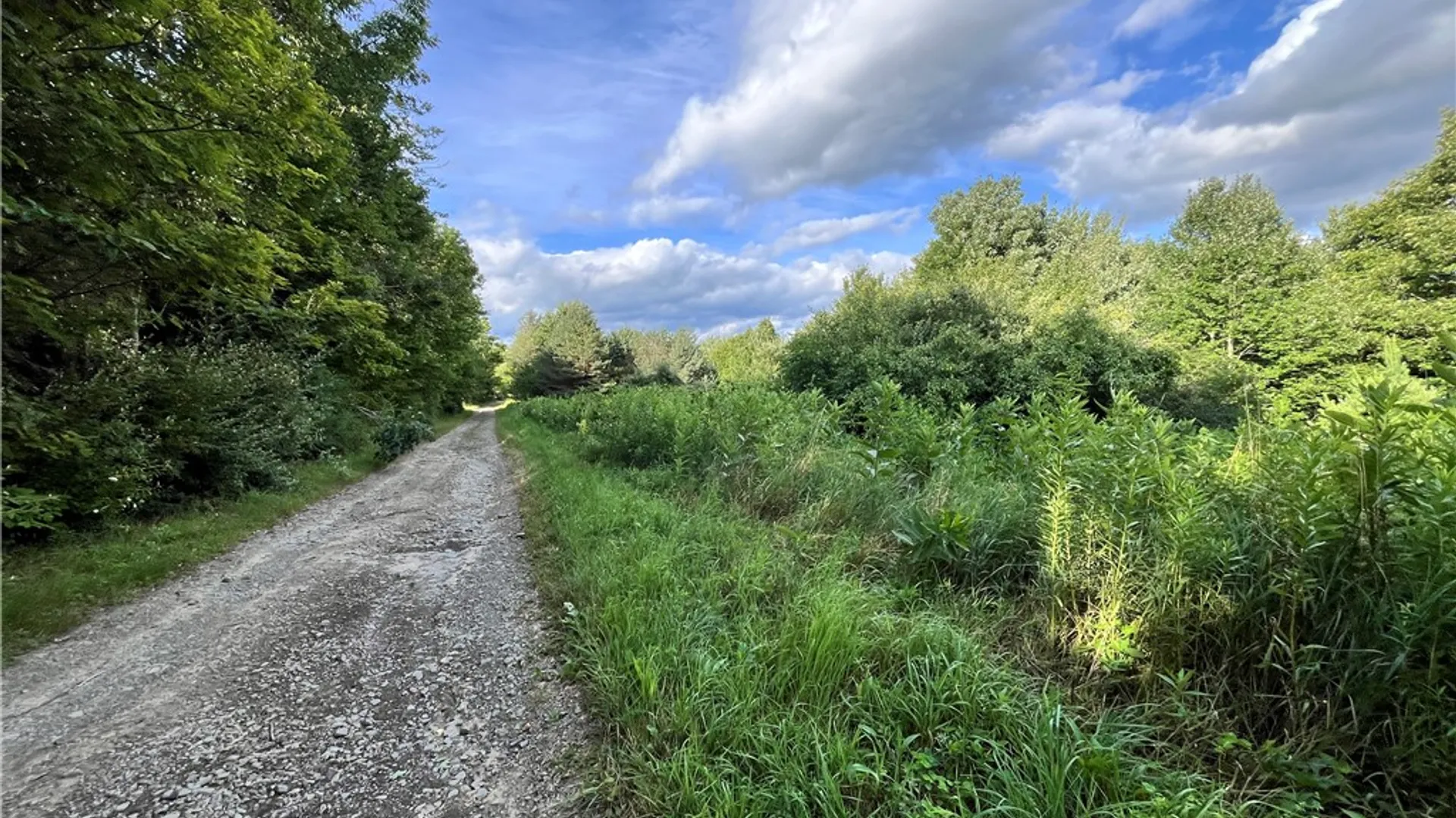 Property at Greenbush Road, Erin, NY 14838 5