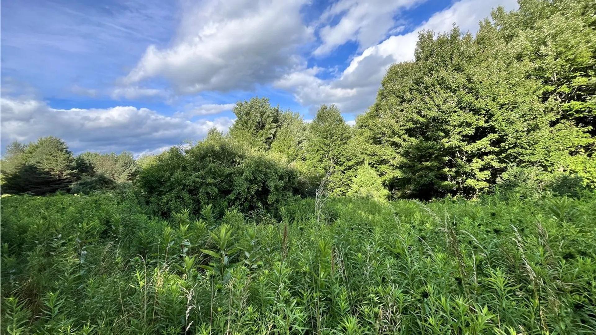 Property at Greenbush Road, Erin, NY 14838 7