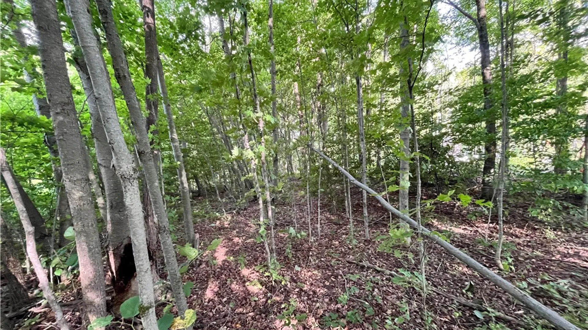 Property at Greenbush Road, Erin, NY 14838 9