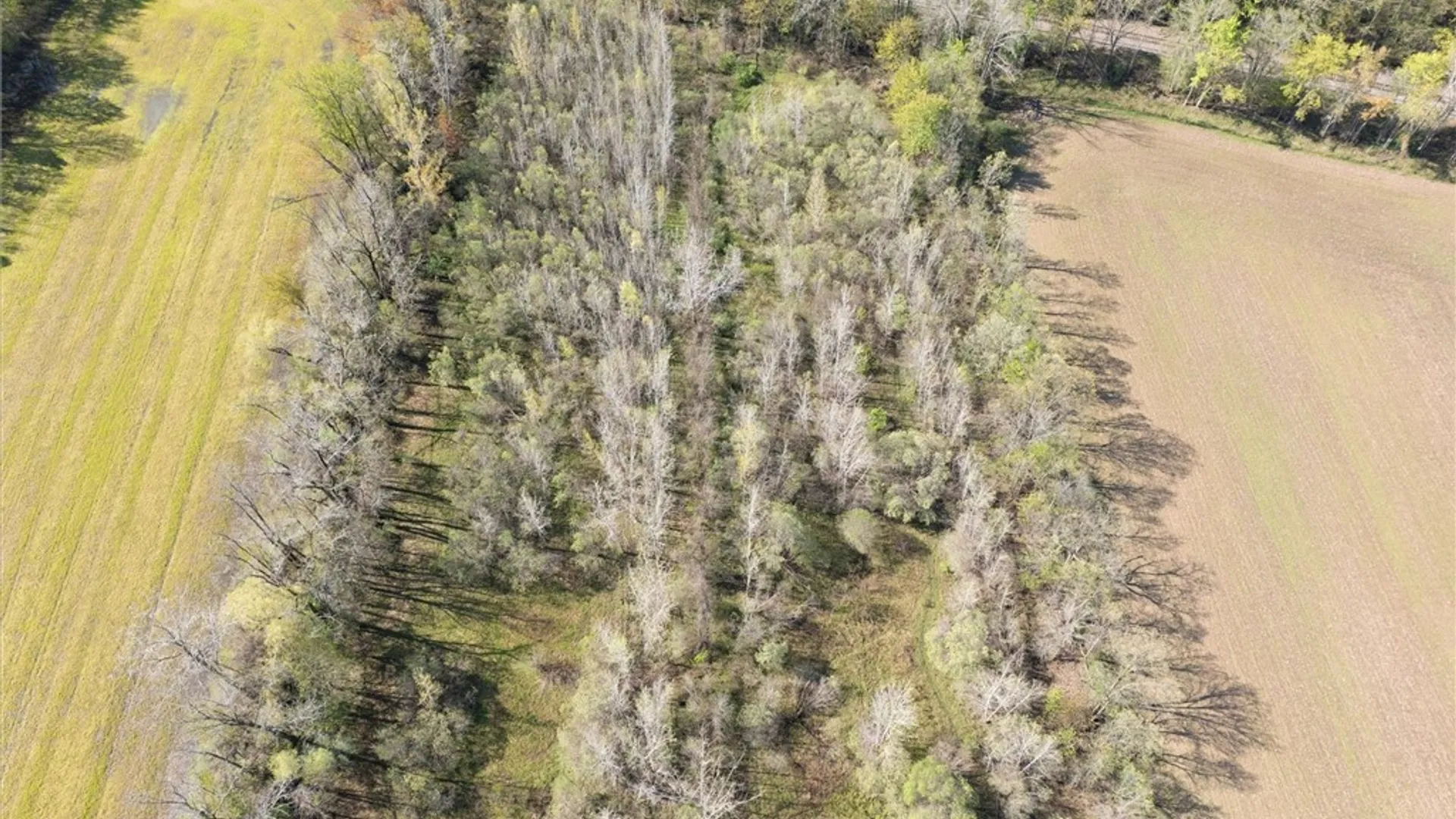 Property at 16126 Telegraph Road, Murray, NY 14470 18
