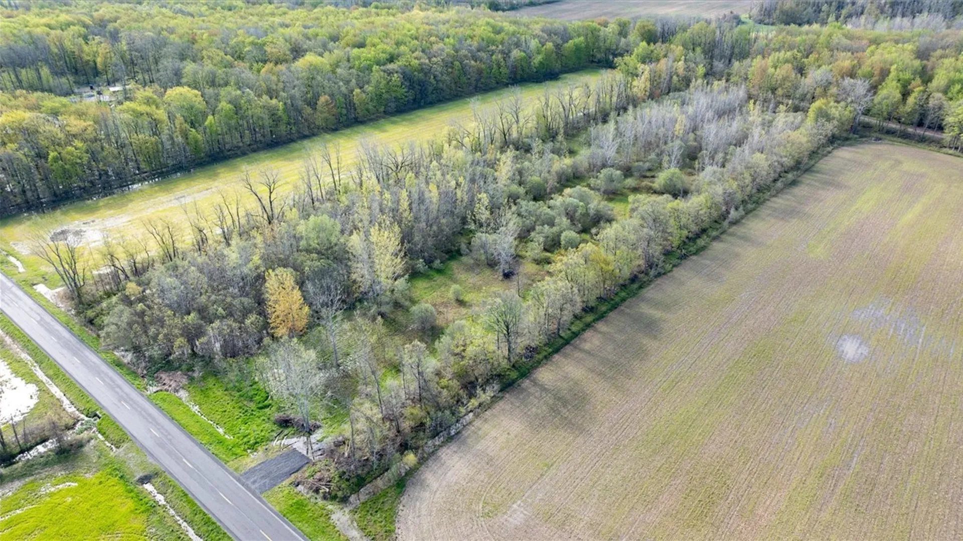 Property at 16126 Telegraph Road, Murray, NY 14470 27