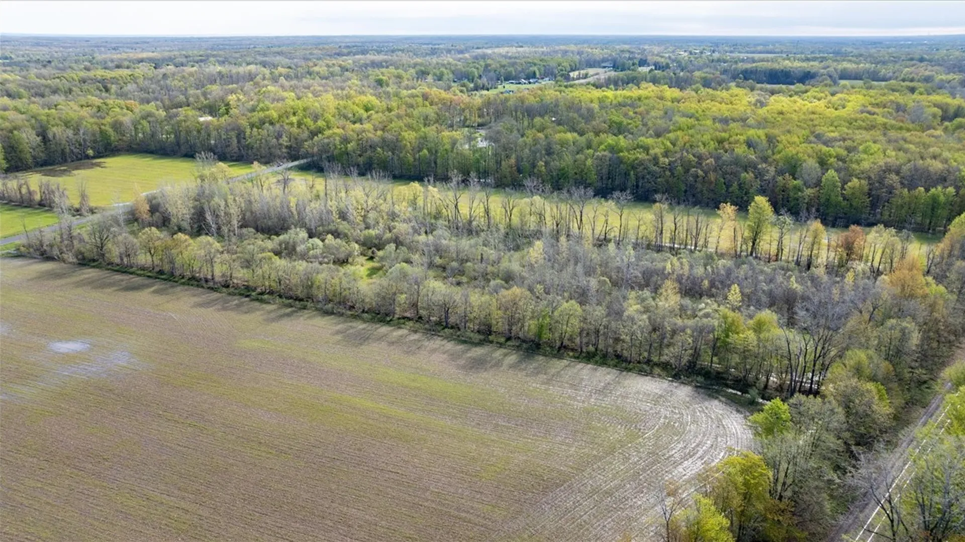 Property at 16126 Telegraph Road, Murray, NY 14470 30