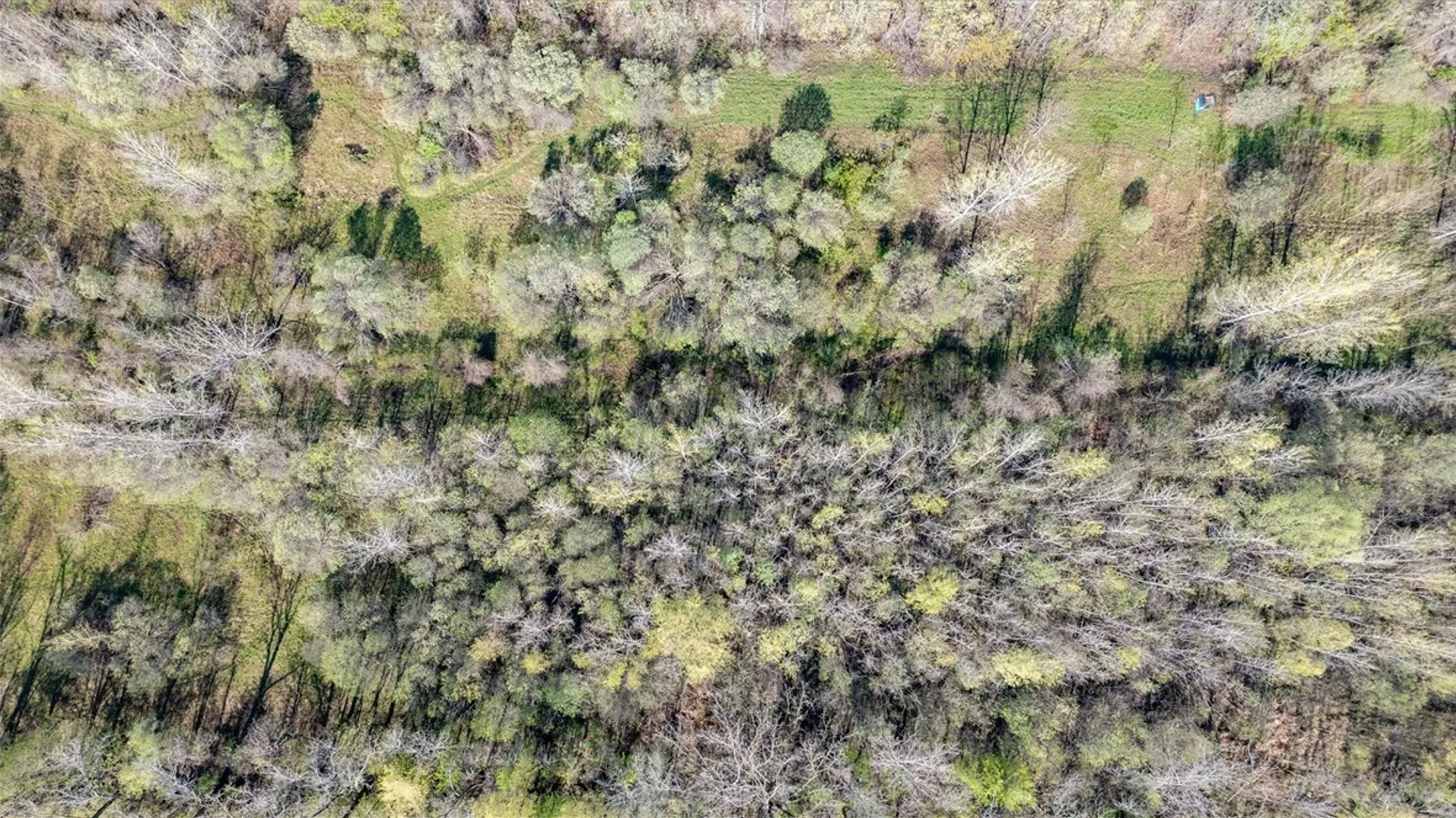 Property at 16126 Telegraph Road, Murray, NY 14470 41