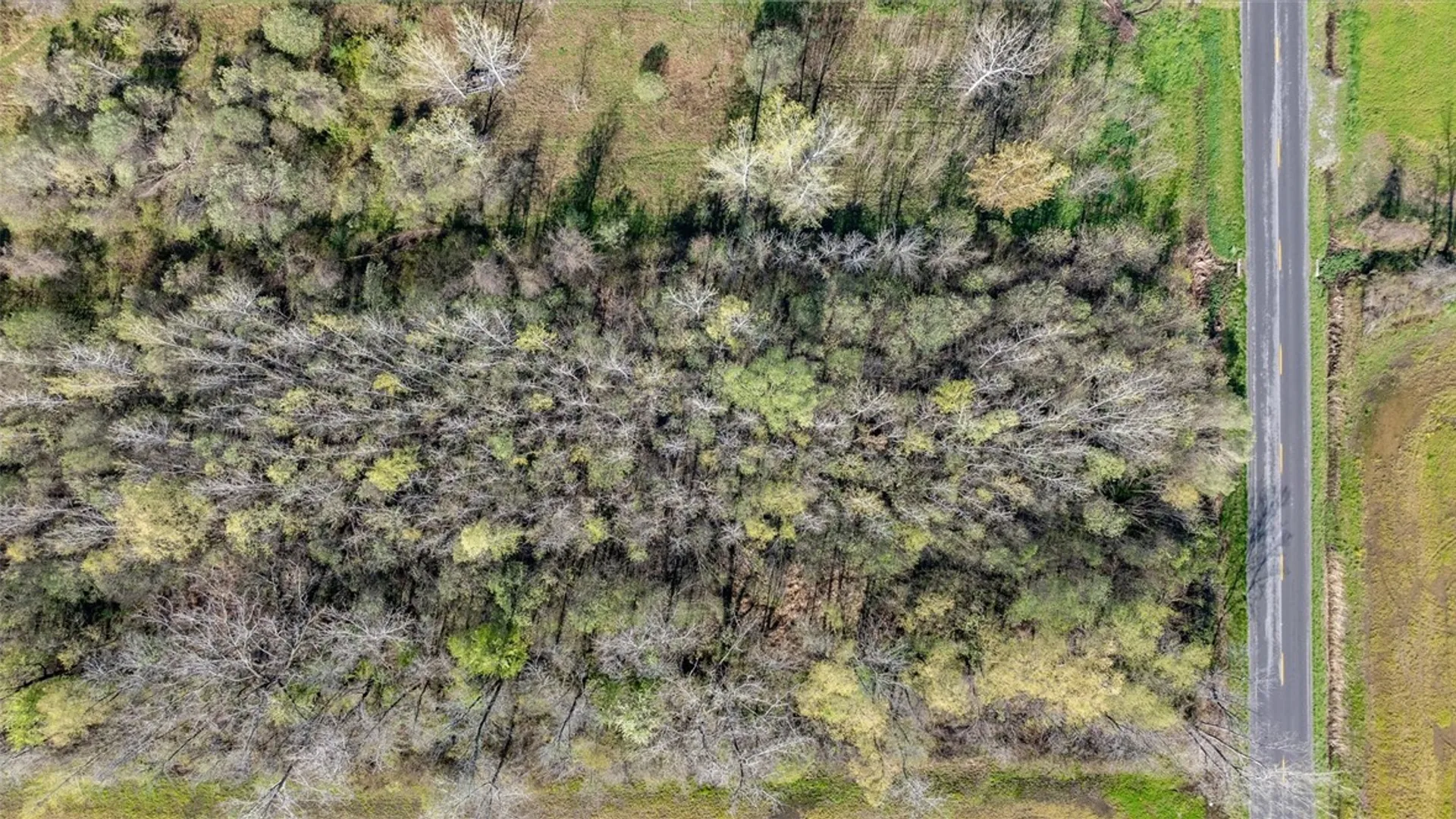 Property at 16126 Telegraph Road, Murray, NY 14470 45