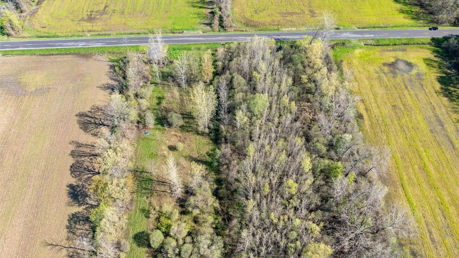 Property at 16126 Telegraph Road, Murray, NY 14470 6