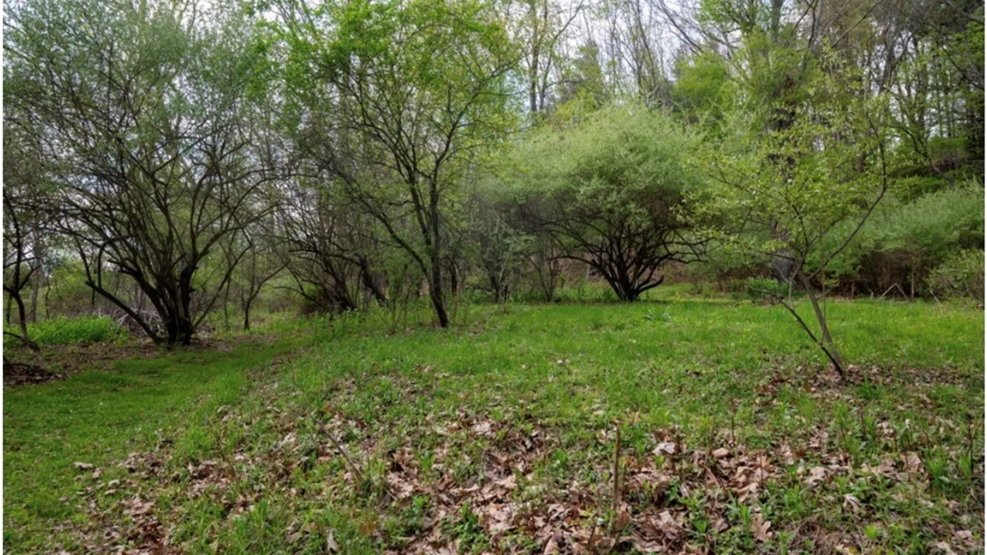 Property at 5461 County Route 14, Canisteo, NY 14823 13