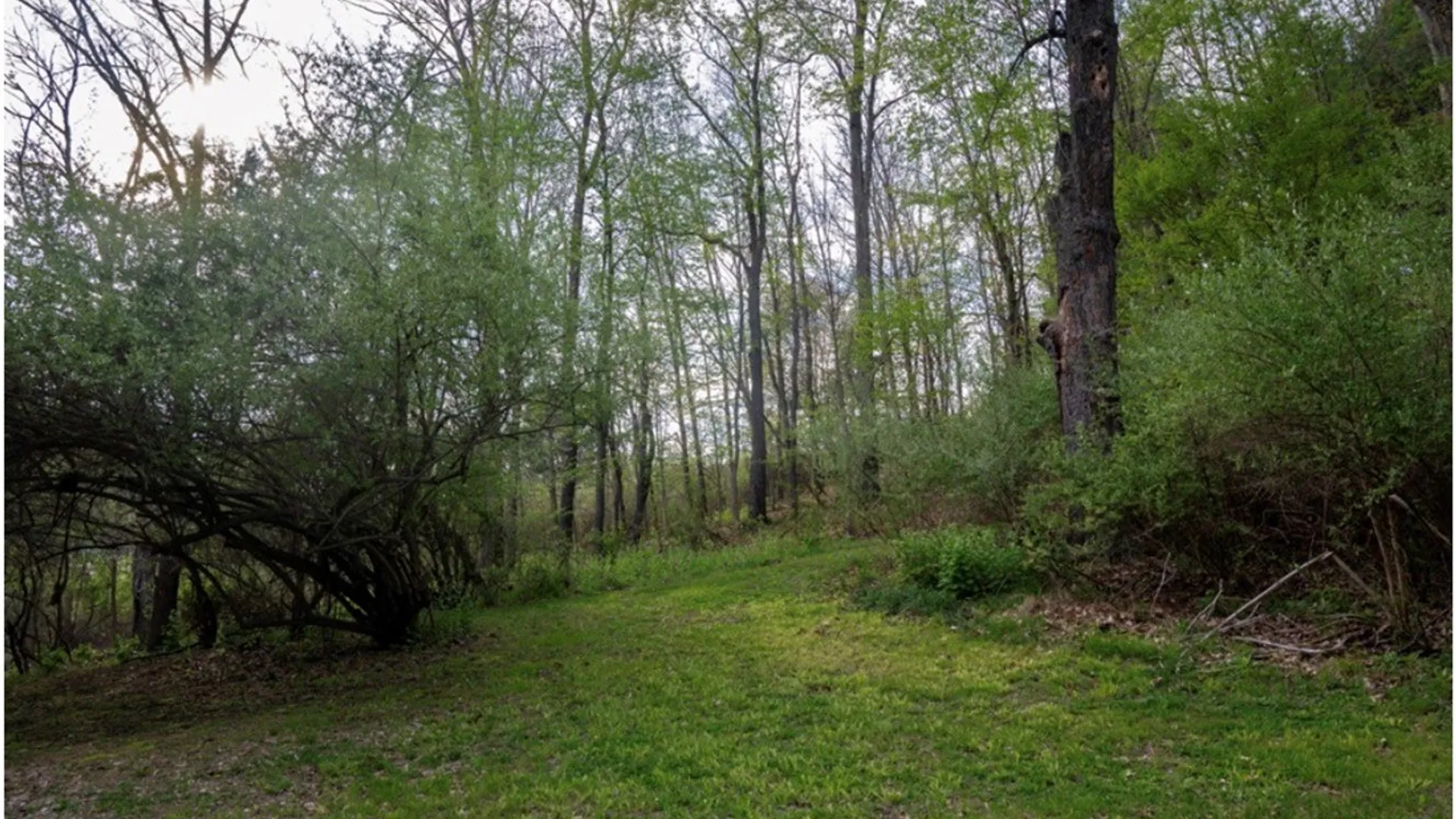Property at 5461 County Route 14, Canisteo, NY 14823 14
