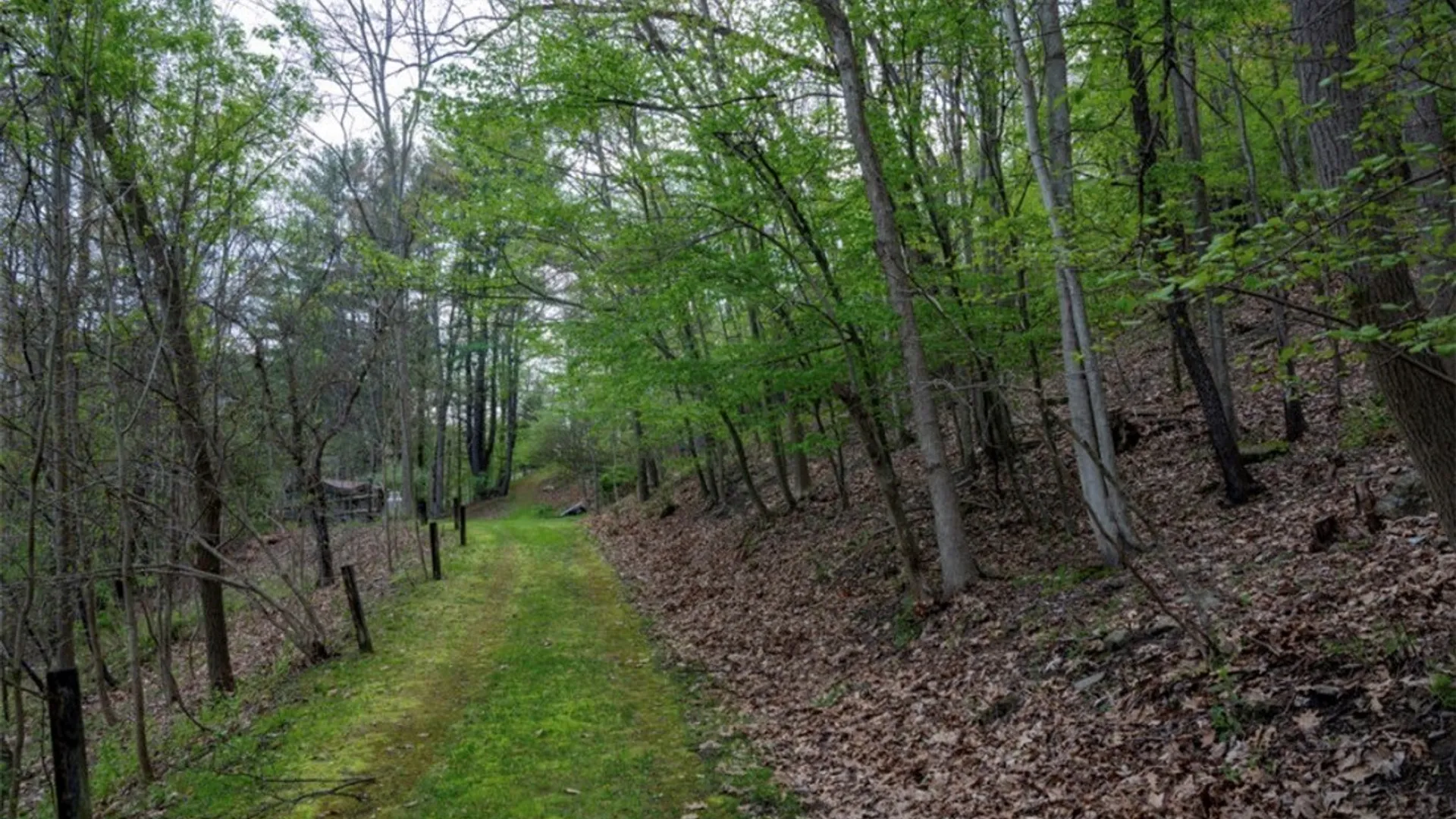 Property at 5461 County Route 14, Canisteo, NY 14823 35