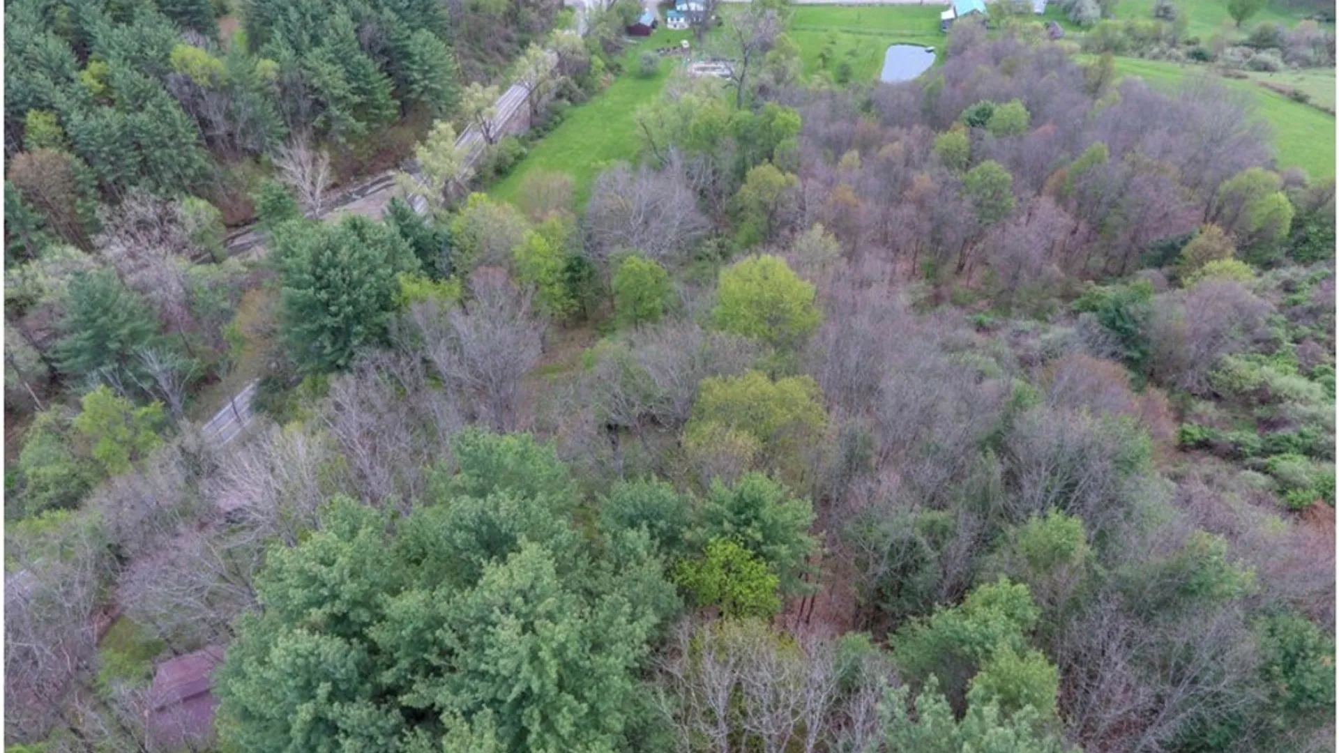 Property at 5461 County Route 14, Canisteo, NY 14823 6