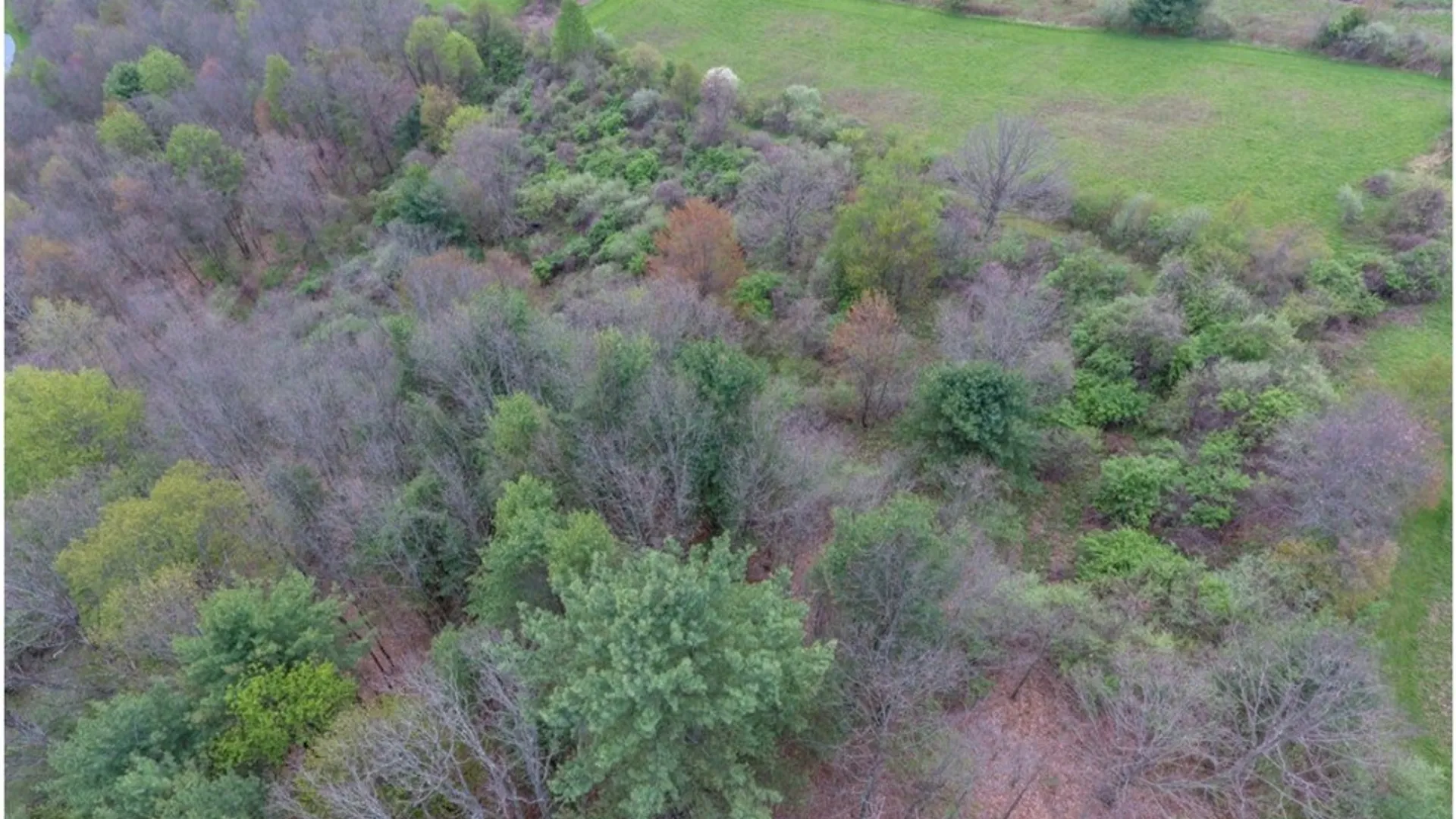 Property at 5461 County Route 14, Canisteo, NY 14823 7