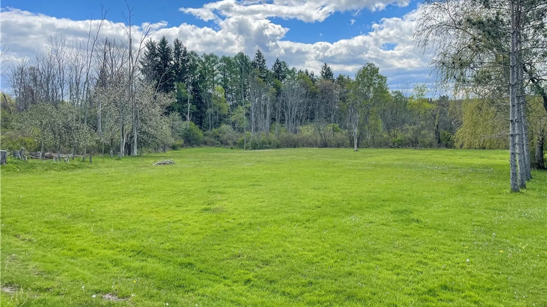 Property at 1468 Shadyside Road, Busti, NY 14750 3