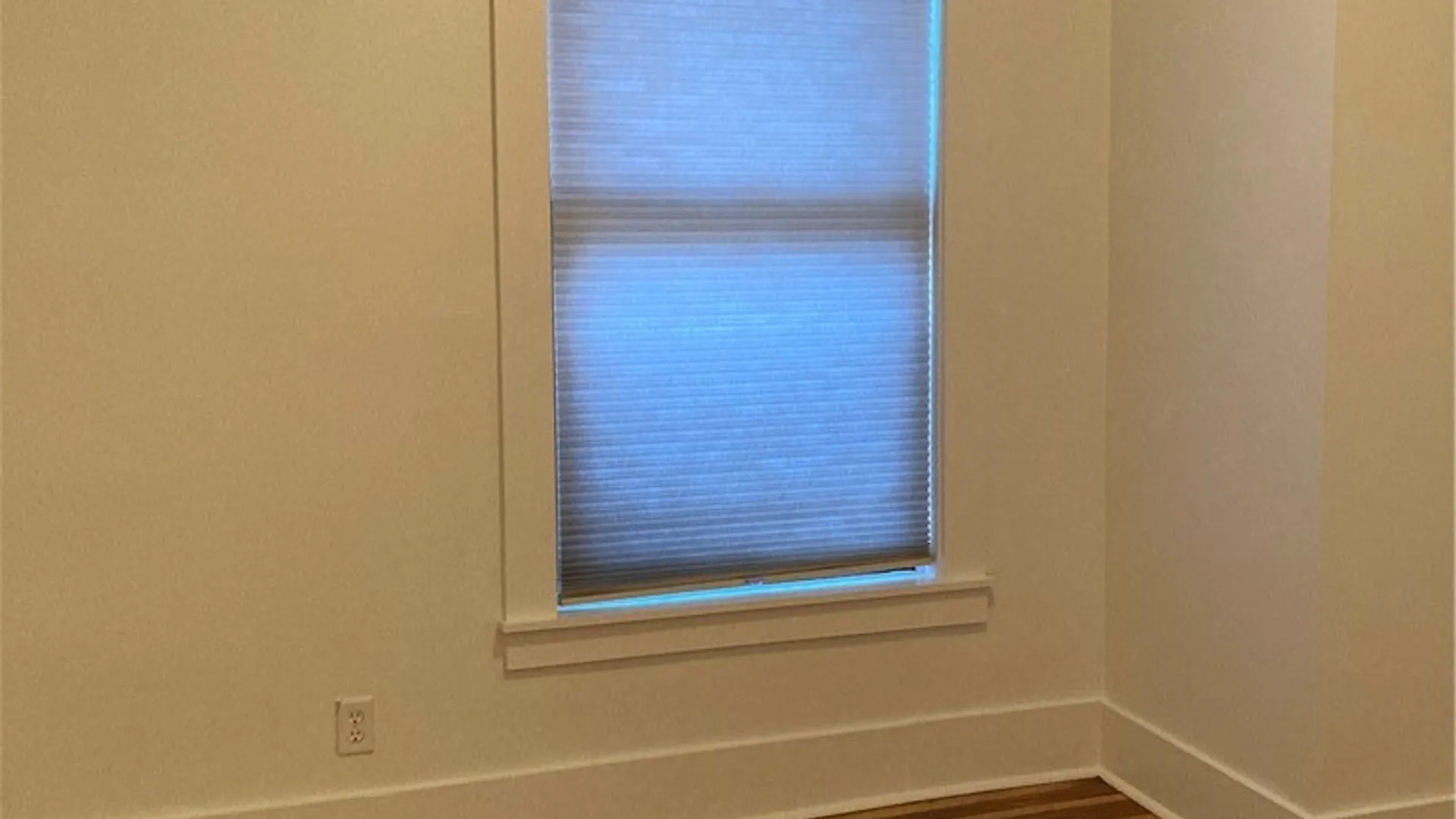 Property at 76 Tracy Street, Buffalo, NY 14201 4