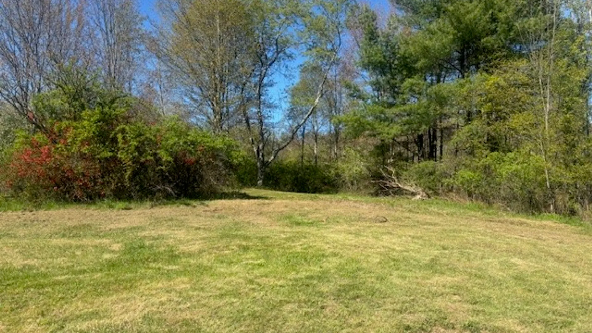 Property at 196 Slate Road, Candor, NY 13743 5
