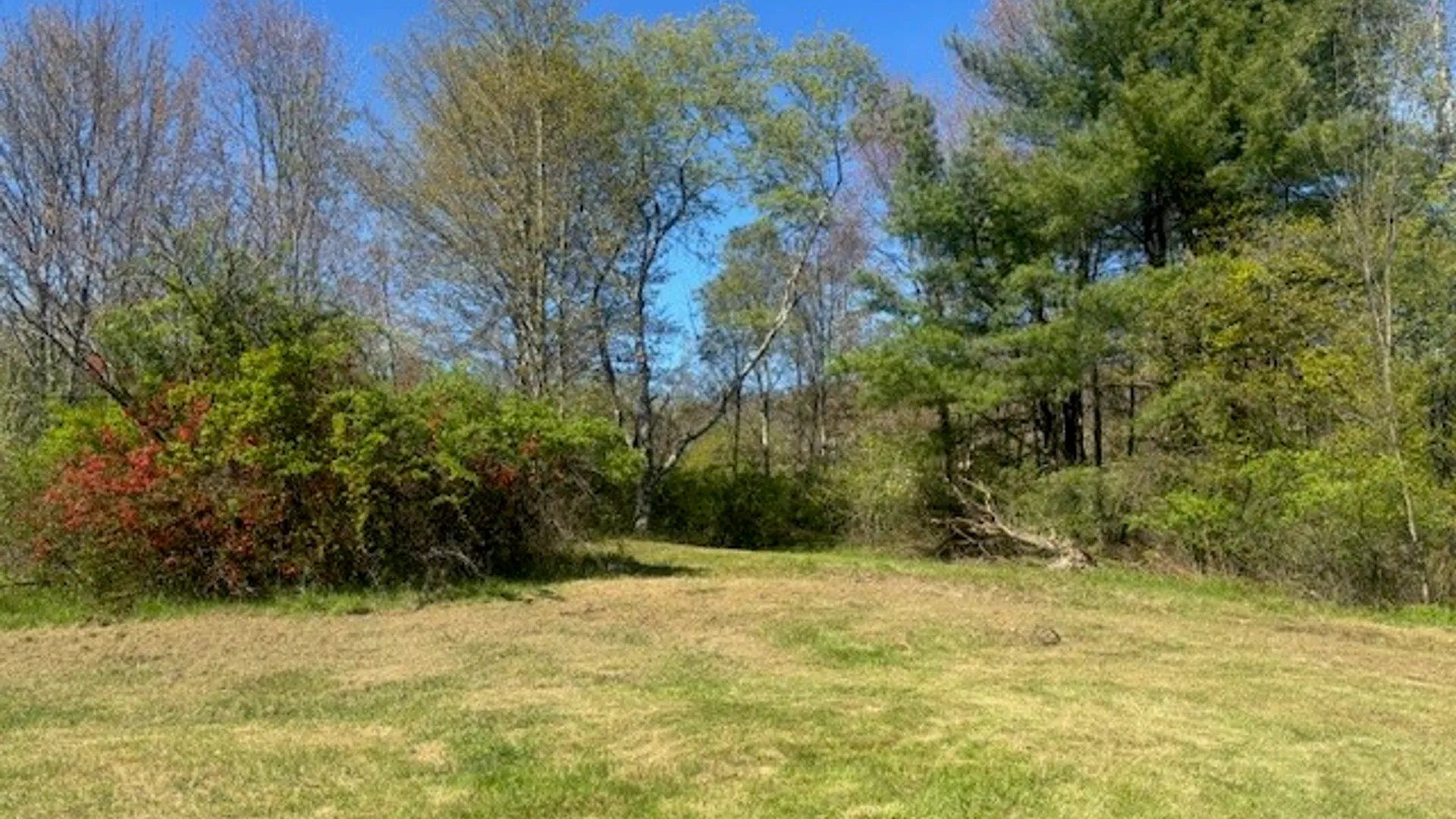 Property at 196 Slate Road, Candor, NY 13743 6