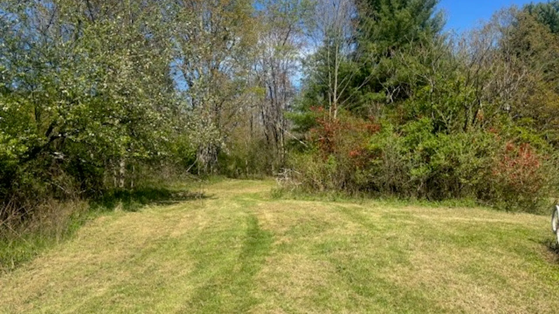 Property at 196 Slate Road, Candor, NY 13743 8